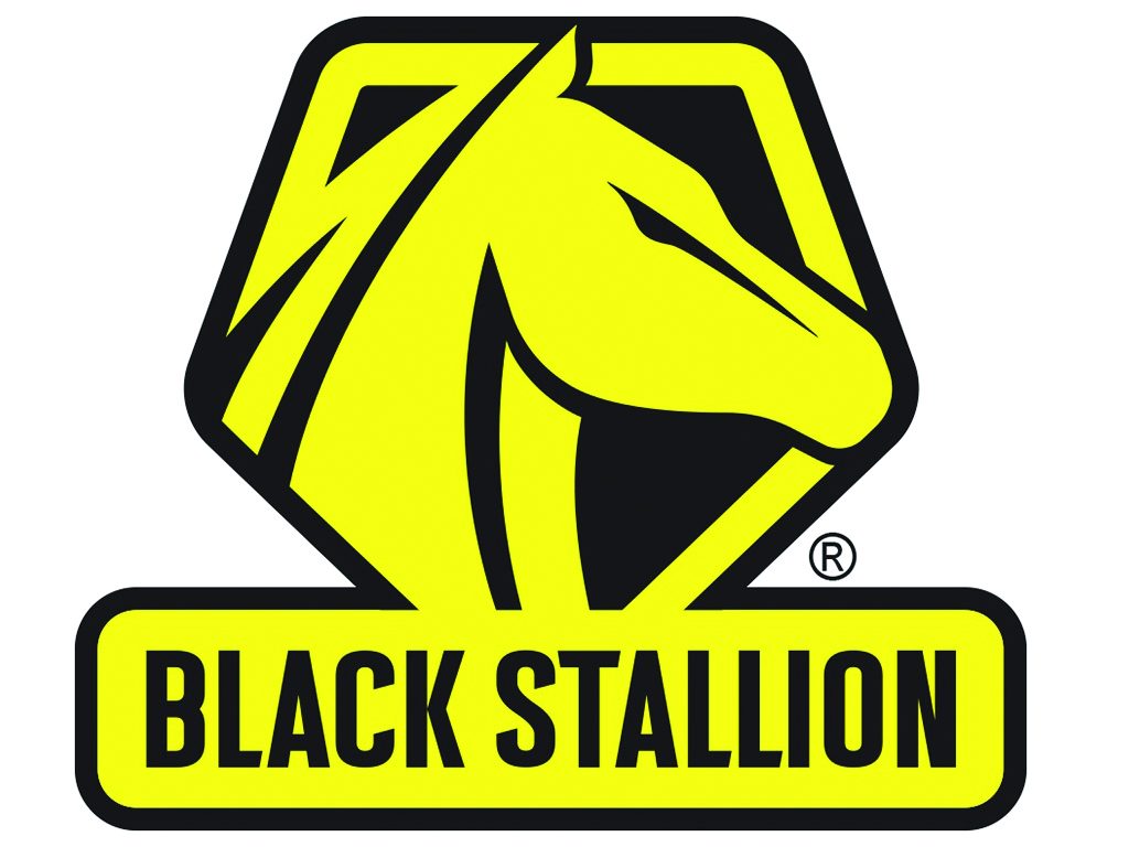 Black Stallion