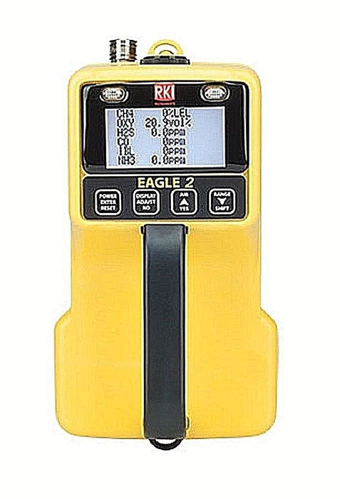 RKI eagle